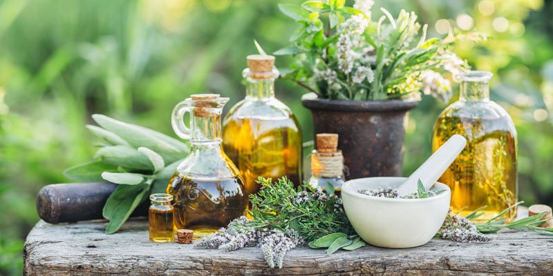 herbs
